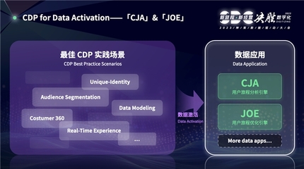 神策数据入选《2024Q1 亚太地区 CDP Landscape》报告 数据处理服务的创新与突破